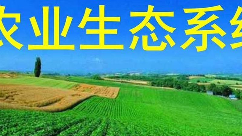 果蔬配送中心标准化建设：从粗放运营到系统管控
