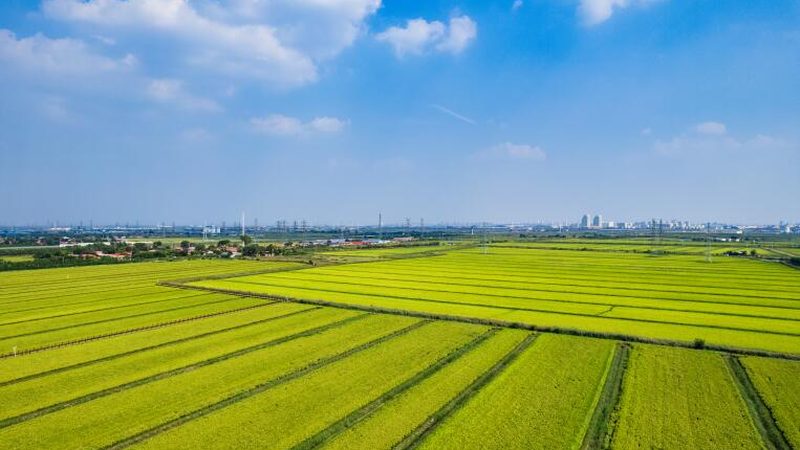 科学施用农资农药化肥，保障农业可持续发展