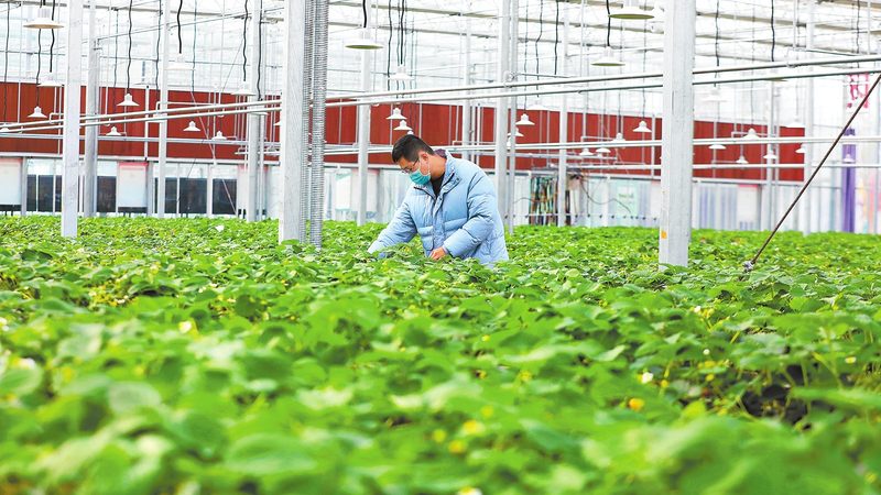 农产品配送设备材质要求解析：安全与效率的双重考量**