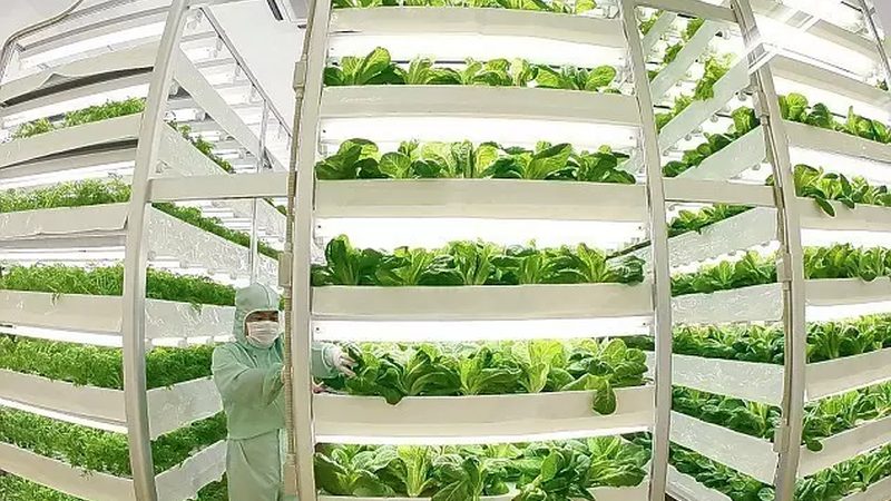 智慧农业种植系统：如何选择适合自己的方案