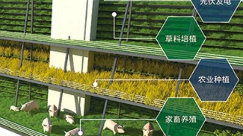 农产品配送加盟代理，如何慧眼识珠？**