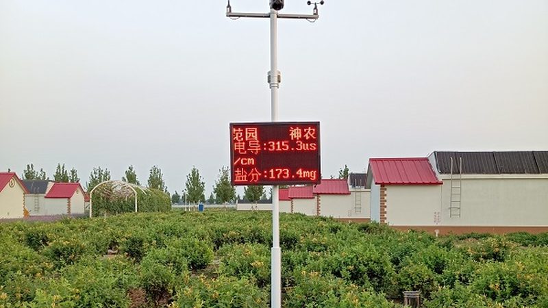县城农产品批发商起步指南：四大关键步骤解析**