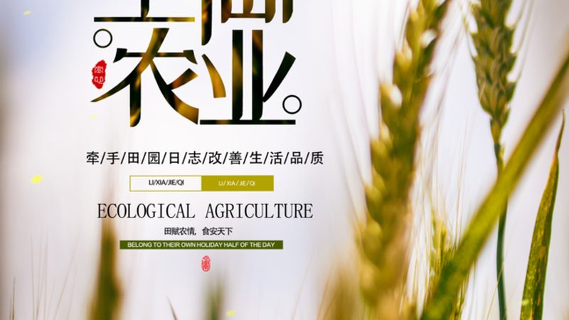 智能温室控制系统：如何选择性价比高的解决方案**